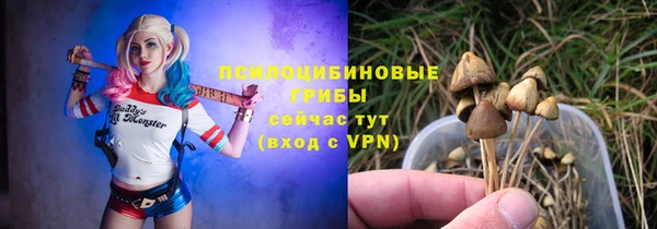 стаф Абинск