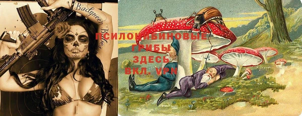 крисы Осташков