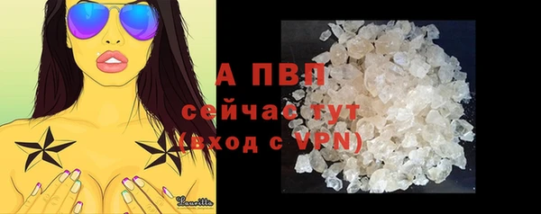 стаф Абинск