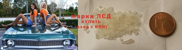 стаф Абинск