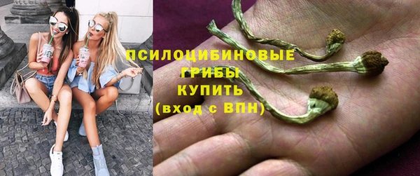 СК Абдулино